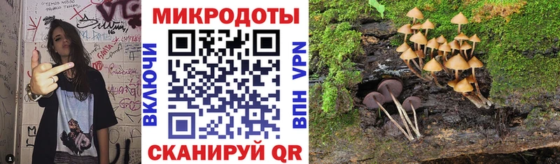 Псилоцибиновые грибы Magic Shrooms  Купить где  Мензелинск 